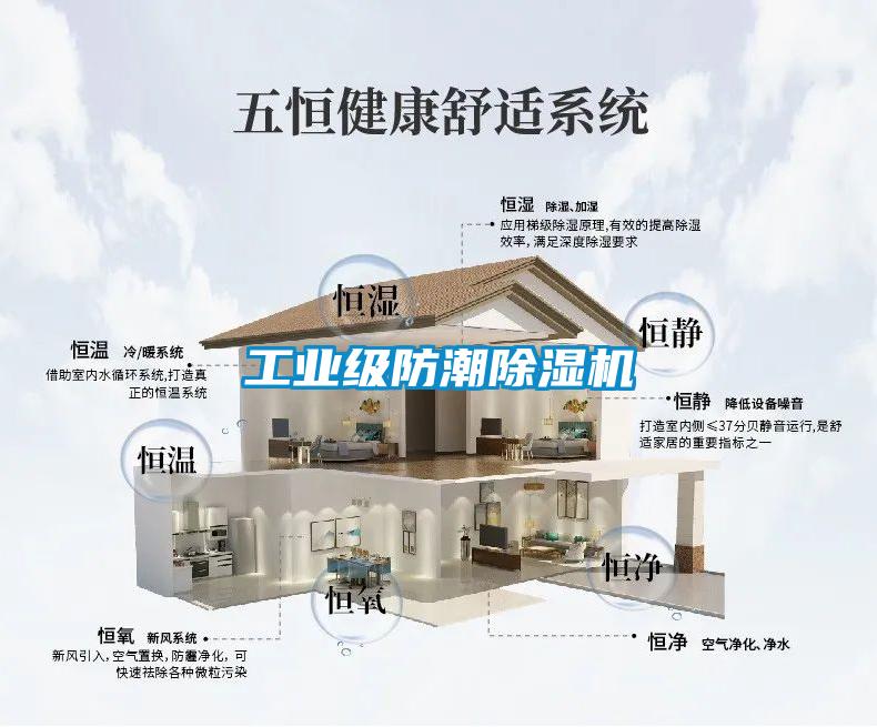 工业级防潮91抖音免费看片