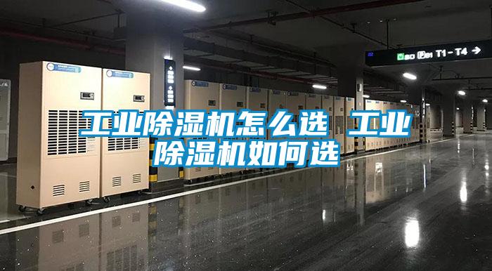 工业91抖音免费看片怎么选 工业91抖音免费看片如何选