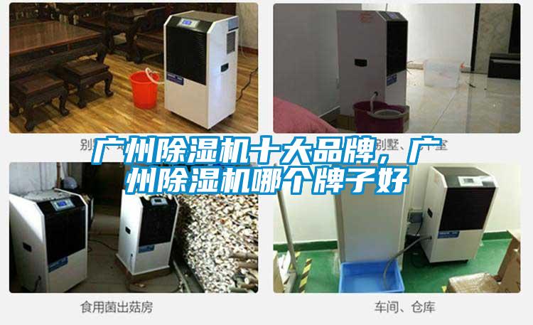 广州91抖音免费看片十大品牌，广州91抖音免费看片哪个牌子好