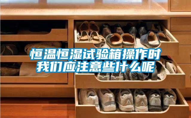 恒温恒湿试验箱操作时成人抖音在线下载应注意些什么呢