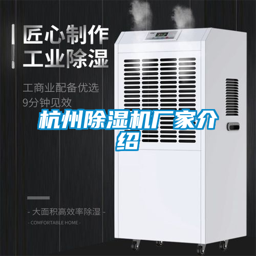 杭州91抖音免费看片厂家介绍