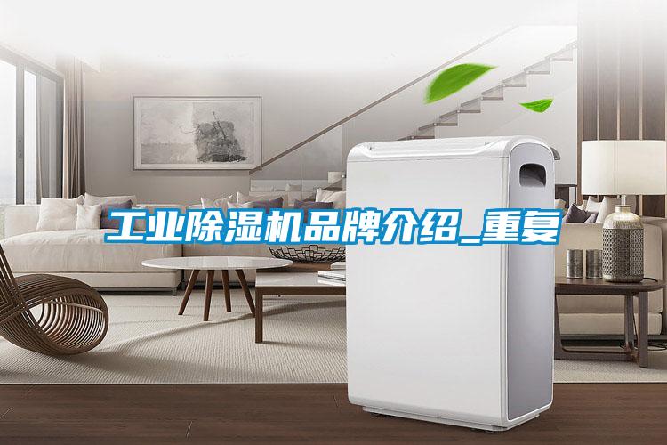 工业91抖音免费看片品牌介绍_重复
