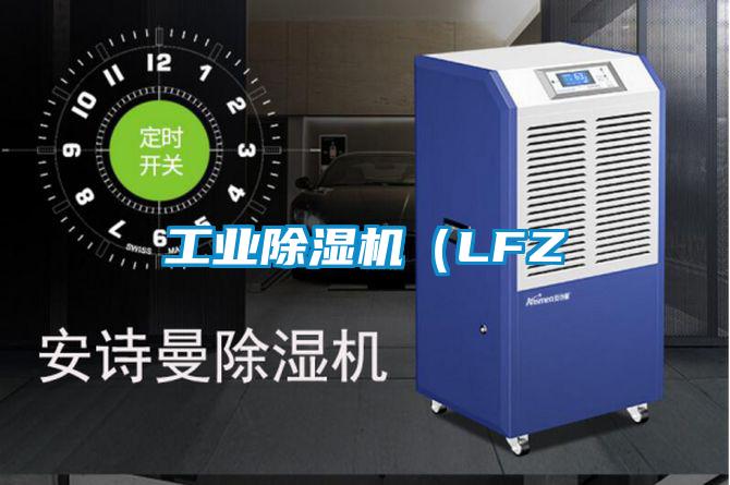 工业91抖音免费看片（LFZ