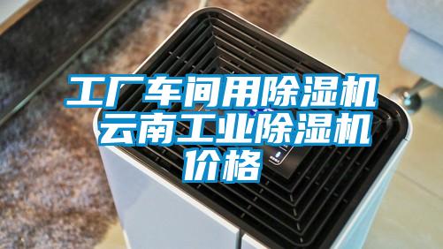 工厂车间用91抖音免费看片 云南工业91抖音免费看片价格