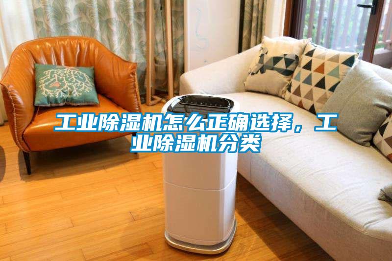 工业91抖音免费看片怎么正确选择，工业91抖音免费看片分类