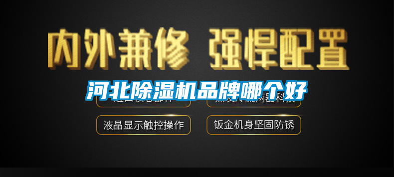 河北91抖音免费看片品牌哪个好