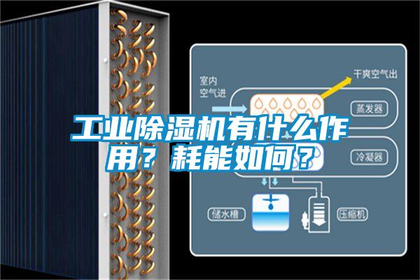 工业91抖音免费看片有什么作用？耗能如何？