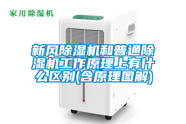 新风91抖音免费看片和普通91抖音免费看片工作原理上有什么区别(含原理图解)