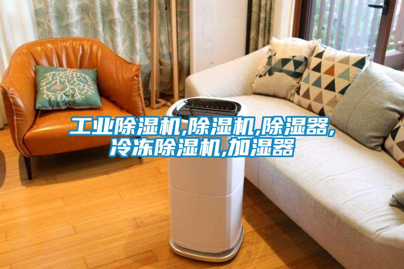 工业91抖音免费看片,91抖音免费看片,除湿器,冷冻91抖音免费看片,加湿器