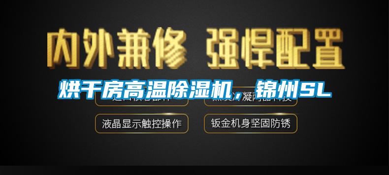 烘干房高温91抖音免费看片，锦州SL