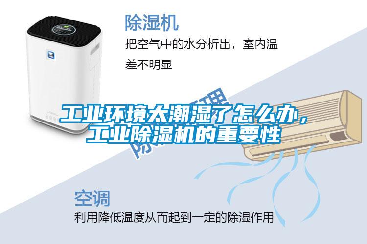 工业环境太潮湿了怎么办，工业91抖音免费看片的重要性