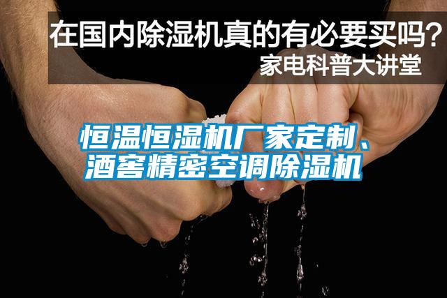 恒温恒湿机厂家定制、酒窖精密空调91抖音免费看片