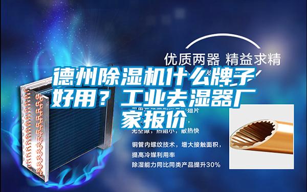 德州91抖音免费看片什么牌子好用？工业去湿器厂家报价