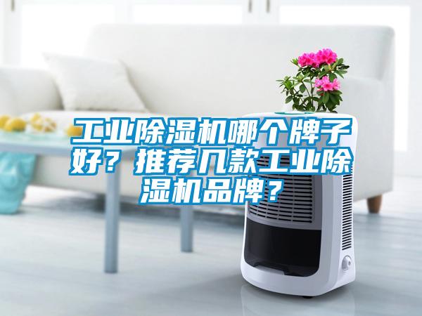 工业91抖音免费看片哪个牌子好？推荐几款工业91抖音免费看片品牌？