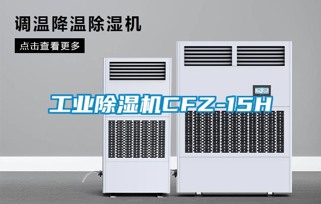 工业91抖音免费看片CFZ-15H