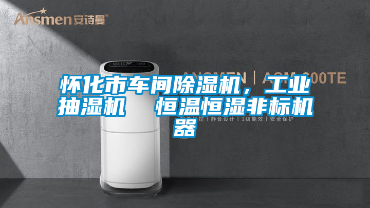 怀化市车间91抖音免费看片，工业抽湿机  恒温恒湿非标机器