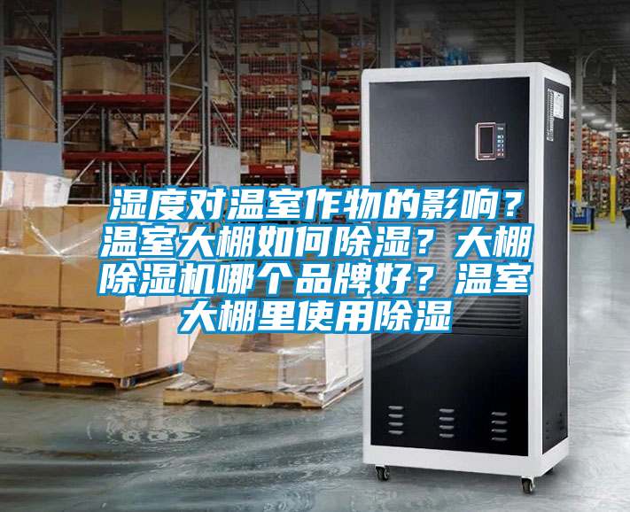 湿度对温室作物的影响？温室大棚如何除湿？大棚91抖音免费看片哪个品牌好？温室大棚里使用除湿