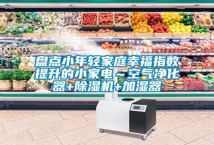 盘点小年轻家庭幸福指数提升的小家电～空气净化器+91抖音免费看片+加湿器
