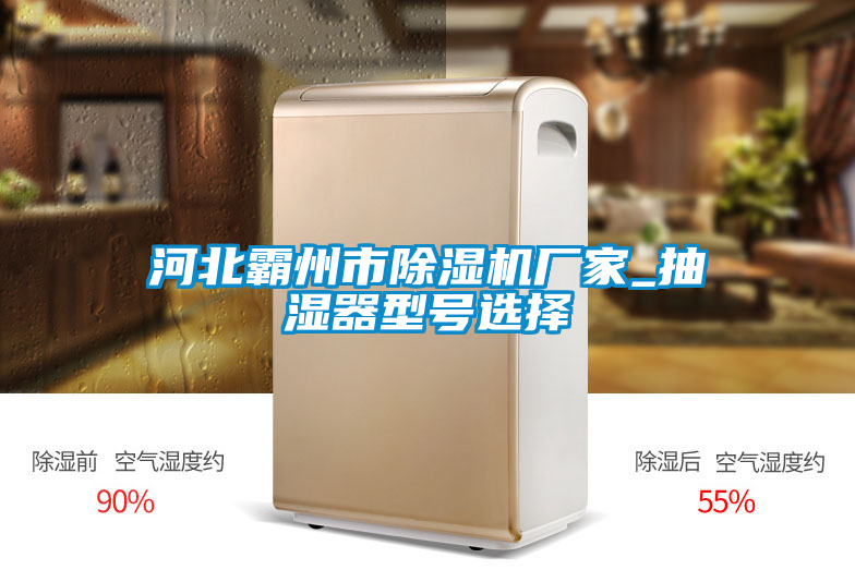 河北霸州市91抖音免费看片厂家_抽湿器型号选择