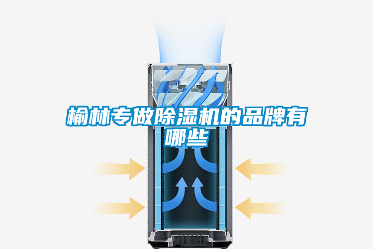 榆林专做91抖音免费看片的品牌有哪些