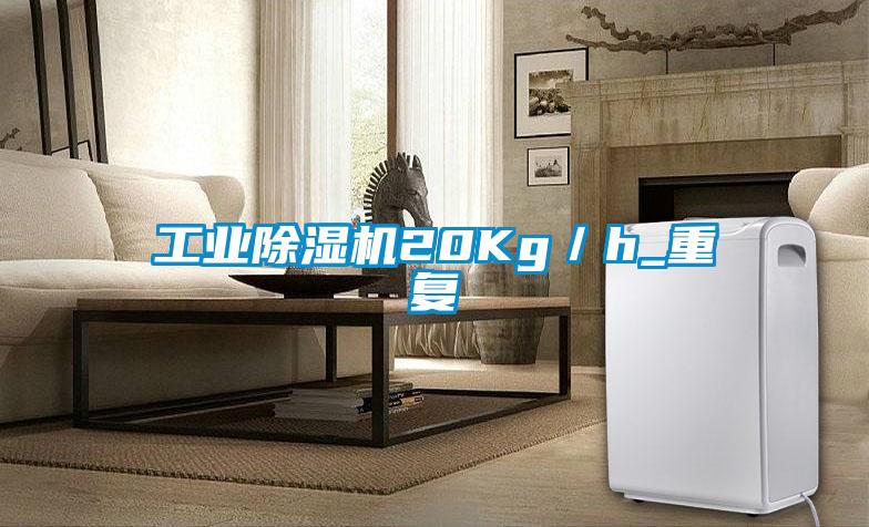 工业91抖音免费看片20Kg／h_重复
