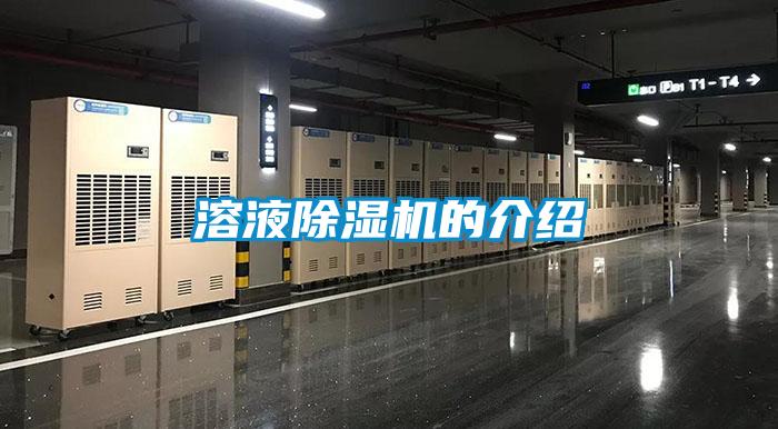 溶液91抖音免费看片的介绍