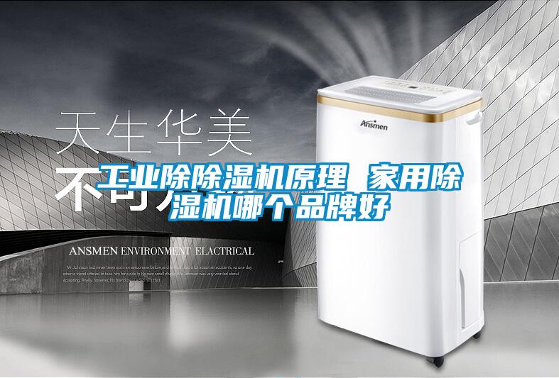工业除91抖音免费看片原理 家用91抖音免费看片哪个品牌好