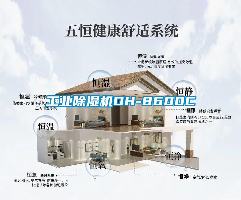 工业91抖音免费看片DH-8600C