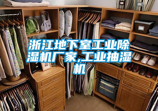浙江地下室工业91抖音免费看片厂家,工业抽湿机
