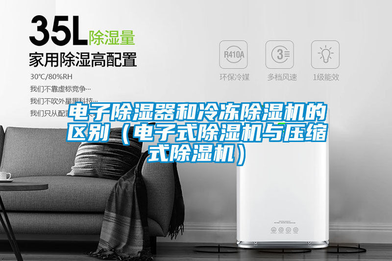 电子除湿器和冷冻91抖音免费看片的区别（电子式91抖音免费看片与压缩式91抖音免费看片）
