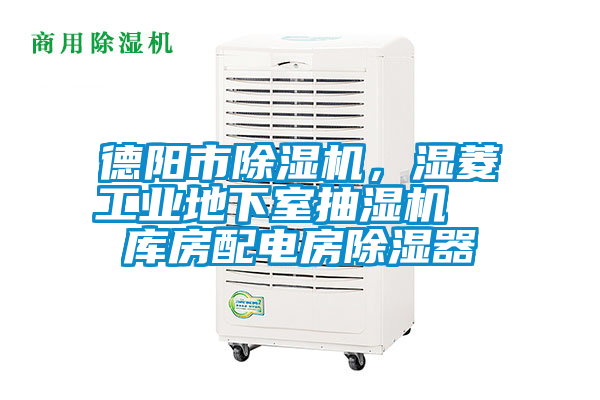 德阳市91抖音免费看片，湿菱工业地下室抽湿机  库房配电房除湿器