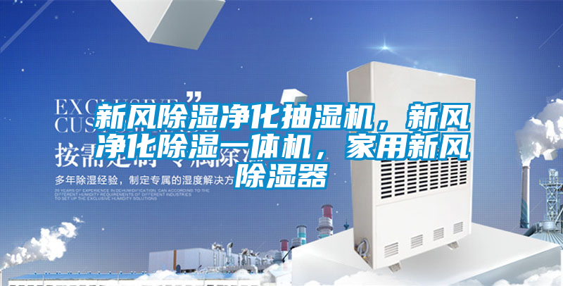 新风除湿净化抽湿机，新风净化除湿一体机，家用新风除湿器