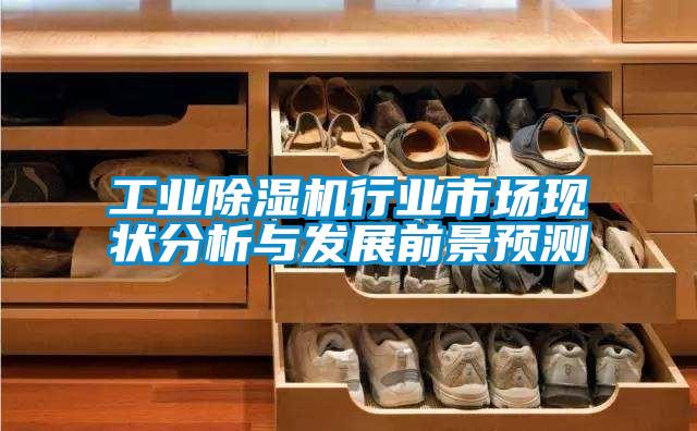工业91抖音免费看片行业市场现状分析与发展前景预测