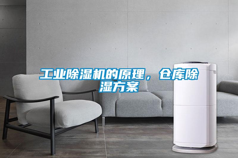 工业91抖音免费看片的原理，仓库除湿方案
