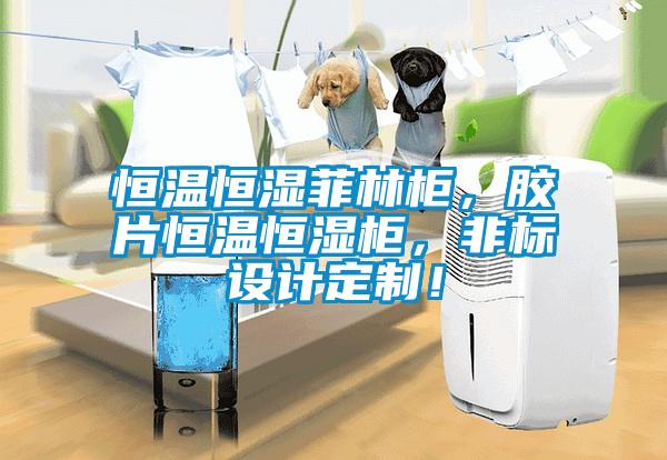 恒温恒湿菲林柜，胶片恒温恒湿柜，非标设计定制！