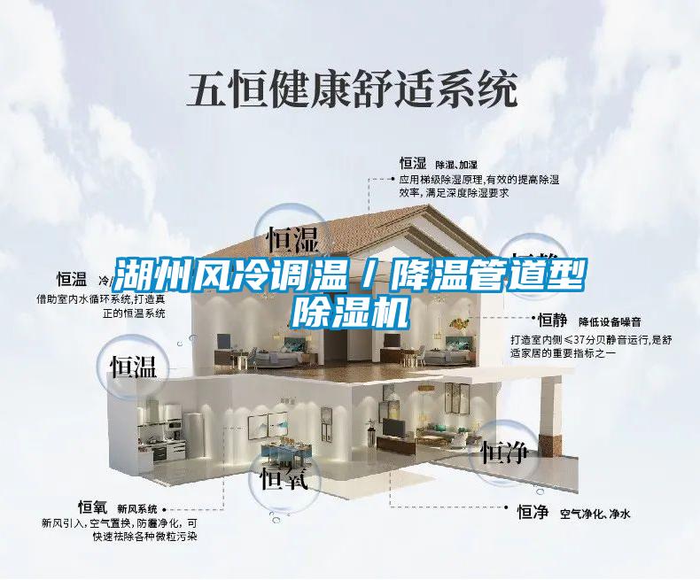 湖州风冷调温／降温管道型91抖音免费看片