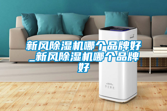 新风91抖音免费看片哪个品牌好_新风91抖音免费看片哪个品牌好