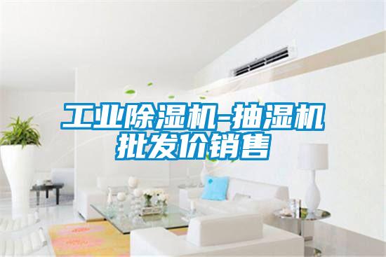 工业91抖音免费看片-抽湿机批发价销售