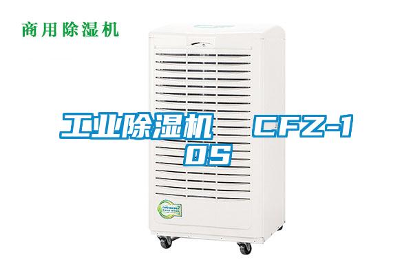 工业91抖音免费看片  CFZ-10S