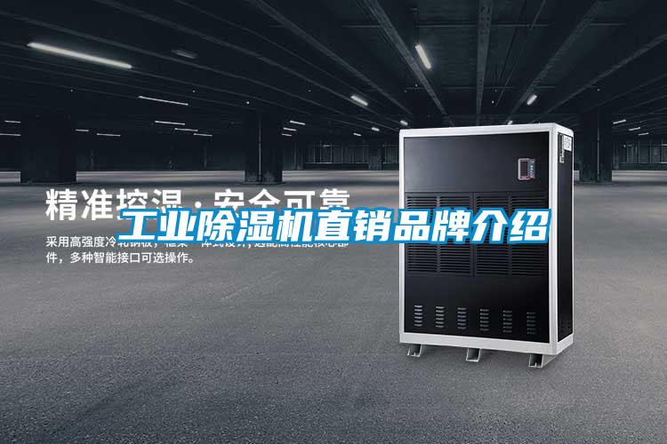 工业91抖音免费看片直销品牌介绍