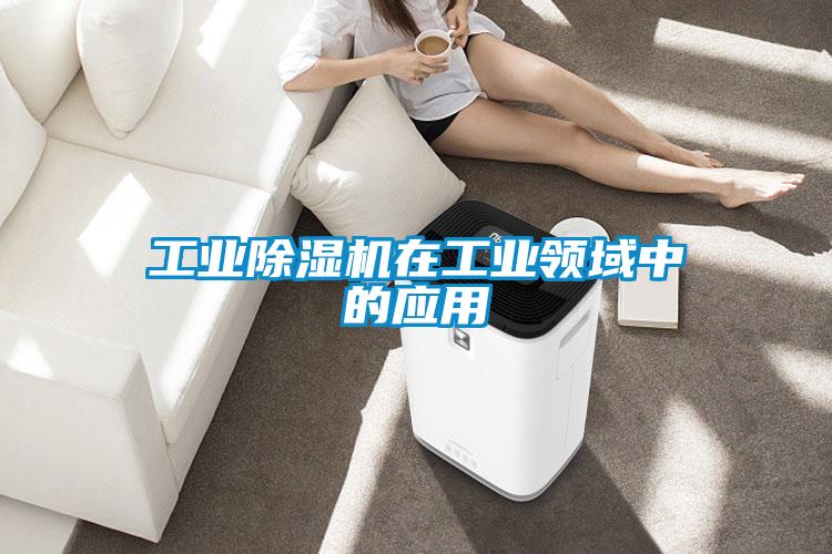 工业91抖音免费看片在工业领域中的应用