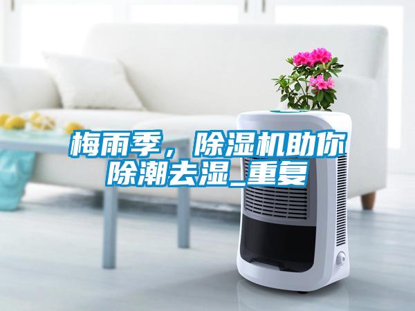 梅雨季，91抖音免费看片助你除潮去湿_重复