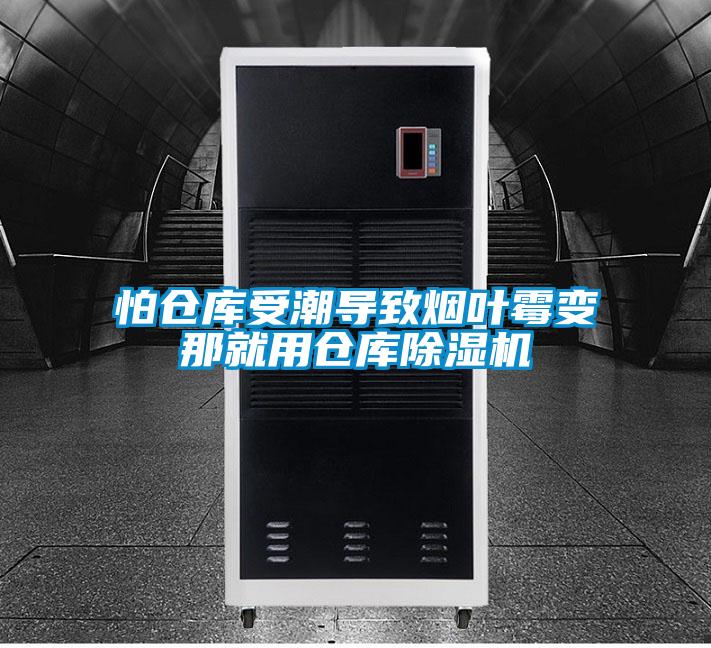 怕仓库受潮导致烟叶霉变那就用仓库91抖音免费看片