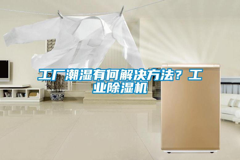 工厂潮湿有何解决方法？工业91抖音免费看片