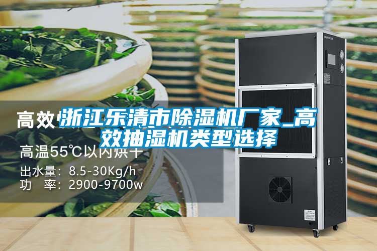 浙江乐清市91抖音免费看片厂家_高效抽湿机类型选择