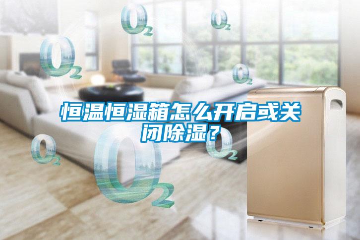 恒温恒湿箱怎么开启或关闭除湿？