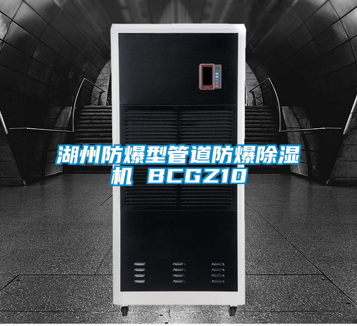 湖州防爆型管道防爆91抖音免费看片 BCGZ10