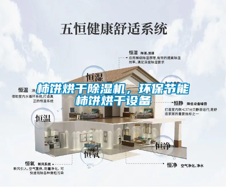 柿饼烘干91抖音免费看片，环保节能柿饼烘干设备