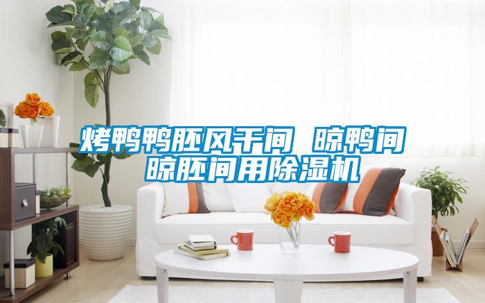 烤鸭鸭胚风干间 晾鸭间 晾胚间用91抖音免费看片
