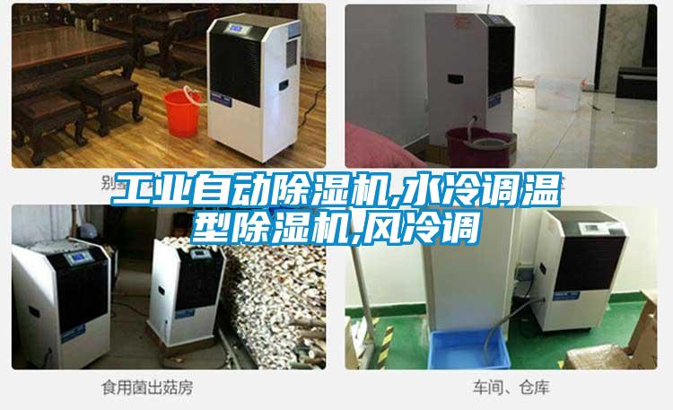 工业自动91抖音免费看片,水冷调温型91抖音免费看片,风冷调